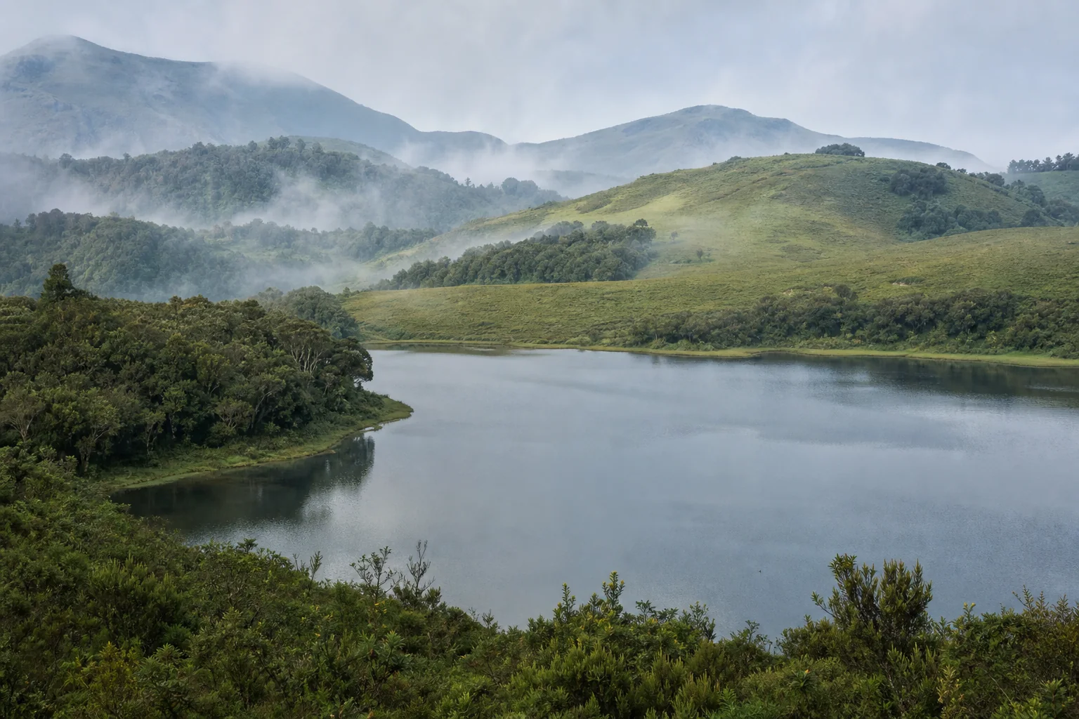 Berijam reservoir among shola and grassland in the Palani Hills