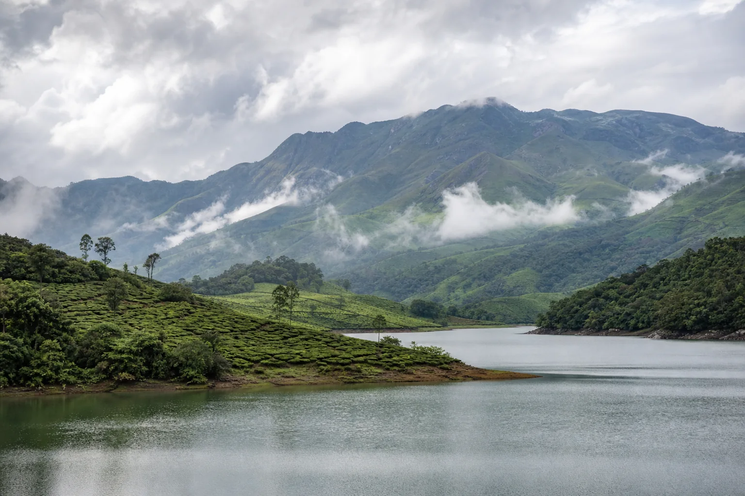 Reservoir, tea slopes and high-range hills near Munnar