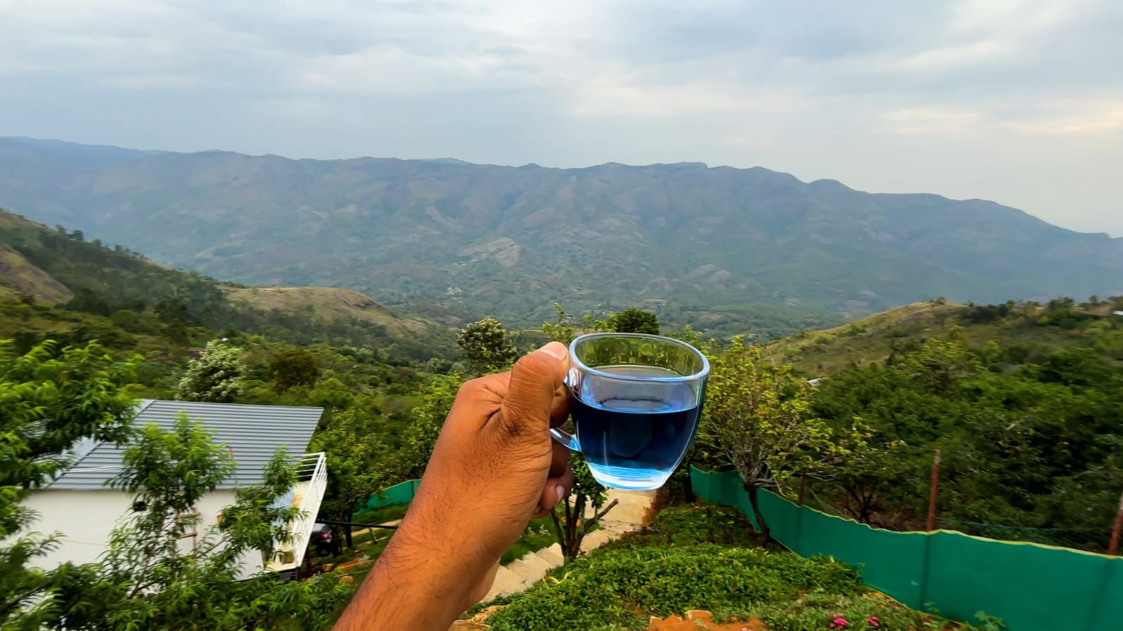 Plum Kodaikanal